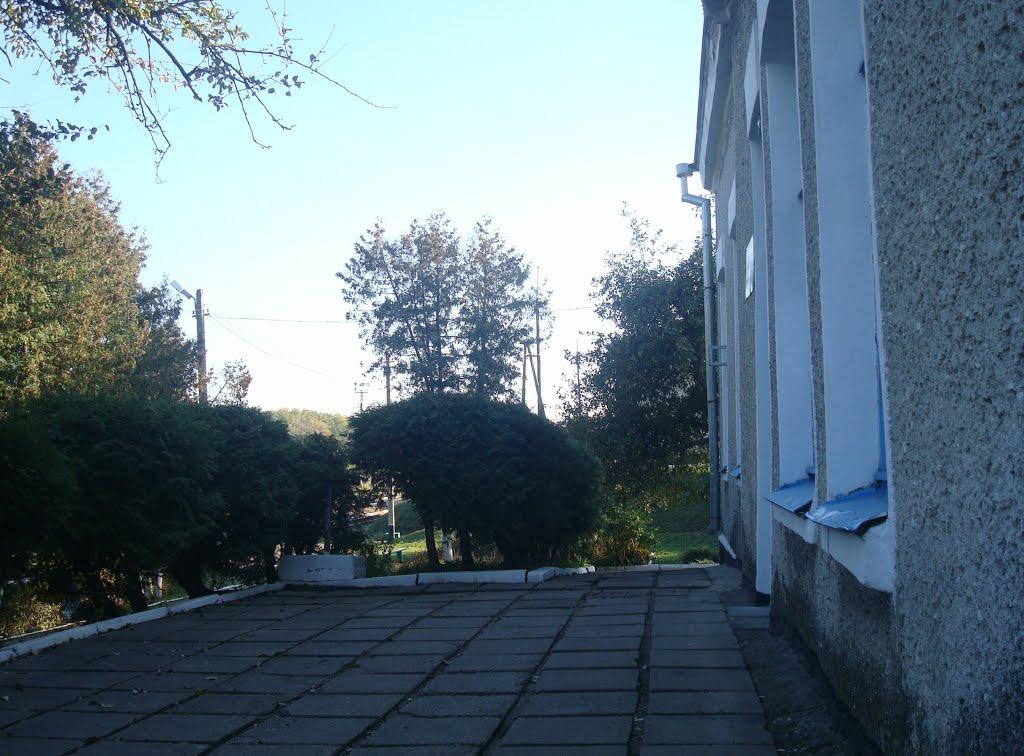 Томашівка з panoramio.com - Томашівка