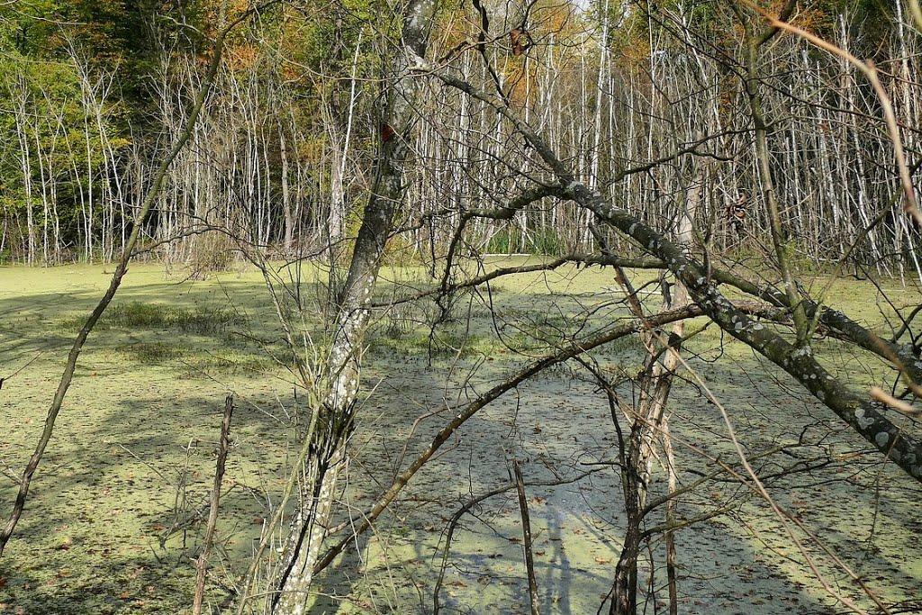 Угринів з panoramio.com - Угринів