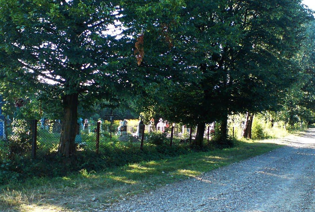 Войнилів з panoramio.com - Войнилов