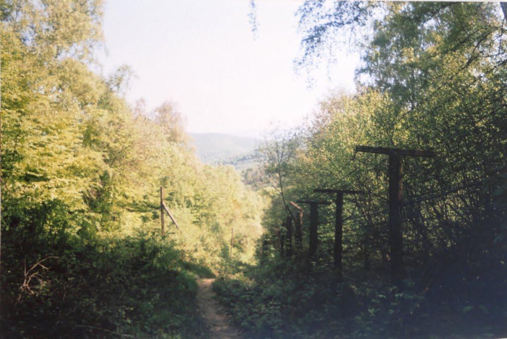 Завосина з panoramio.com (ч.2) - Завосина