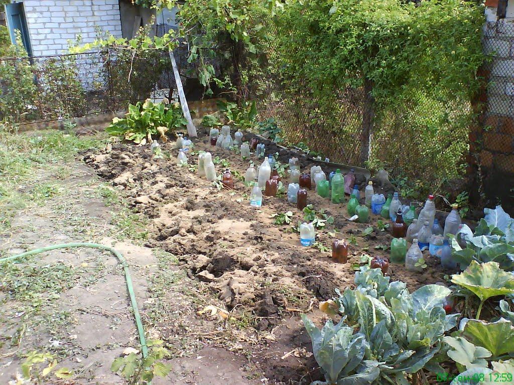 Пересадівка з panoramio.com - Пересадівка