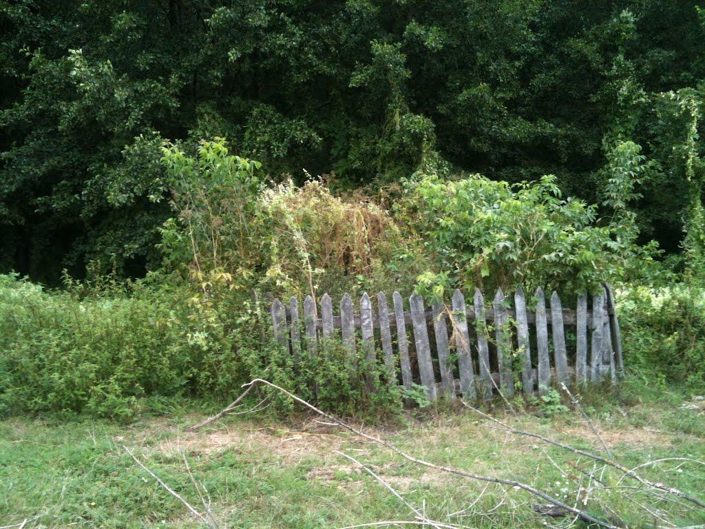 Любитове з panoramio.com - Любитово