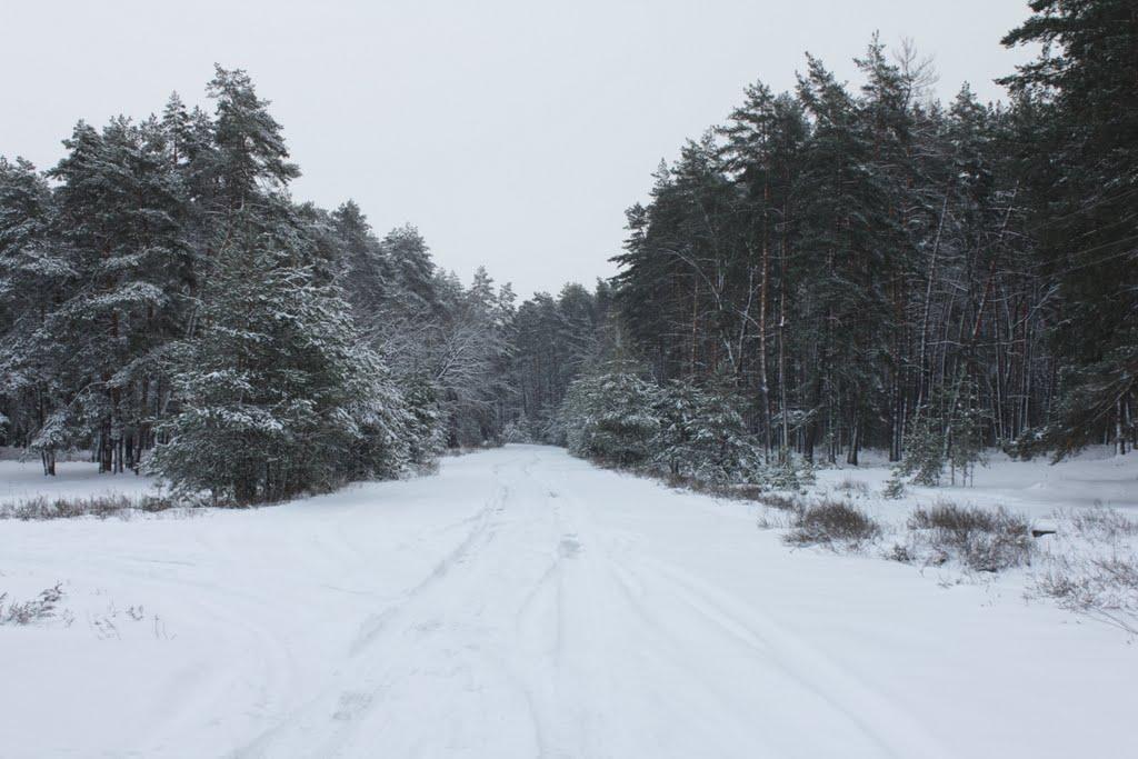 Новомутин з panoramio.com - Новомутин