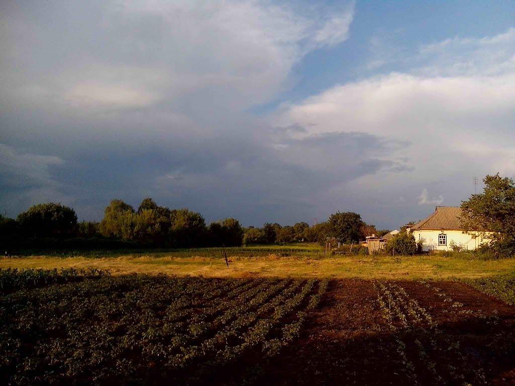 Хорішки з panoramio.com - Хорошки