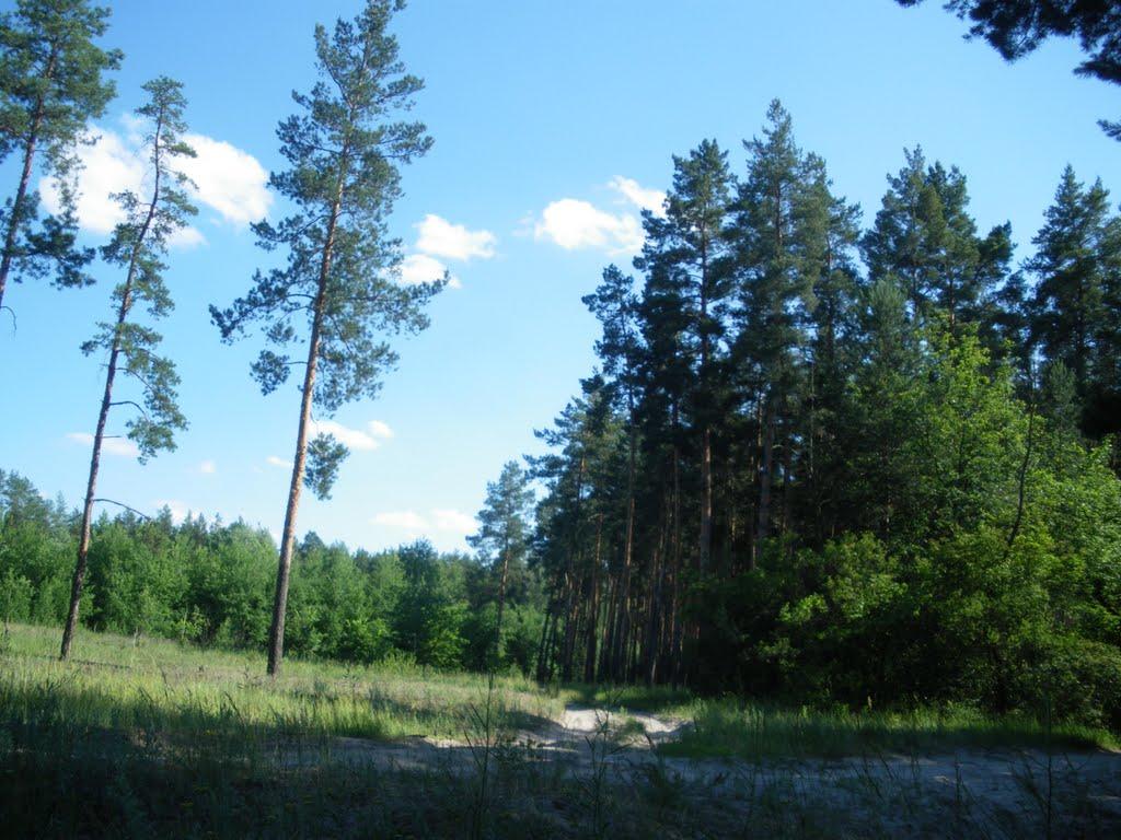 Щурове з panoramio.com - Щурово