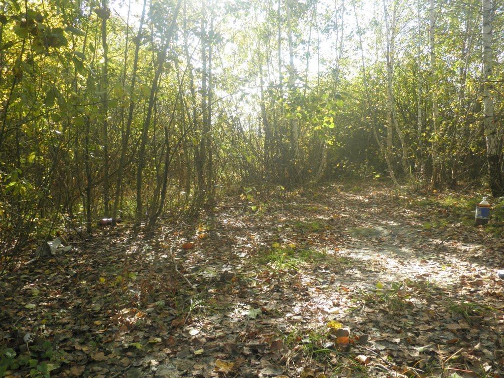 Плетенівка з panoramio.com - Pletenivka