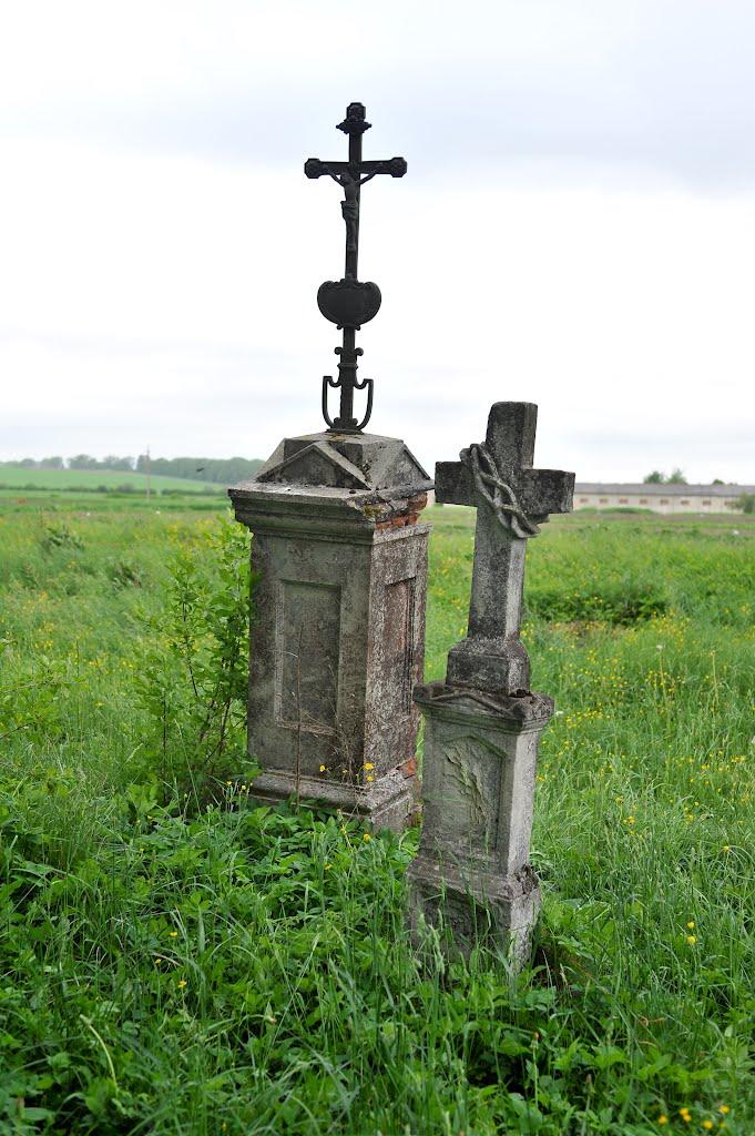 Жовтанці з panoramio.com - Жовтанці