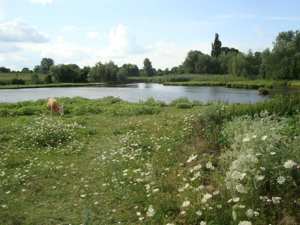 Чутівка з panoramio.com - Chutivka