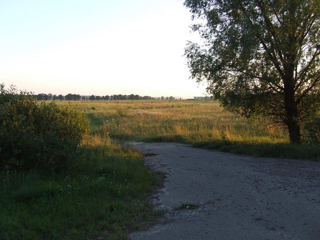 Гребельки з panoramio.com - Гребельки