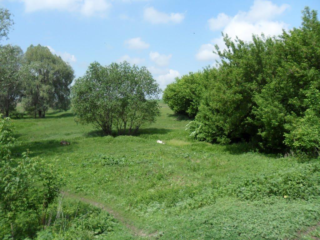 Веселий Гай з panoramio.com - Веселий Гай