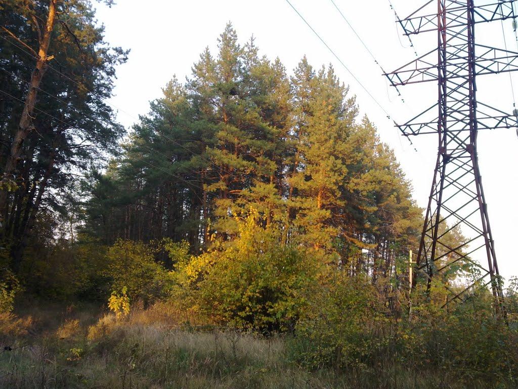 Яцьківка з panoramio.com - Яцьківка