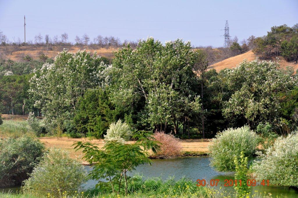 Піщане з panoramio.com - Песчаное