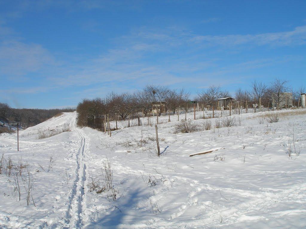 Кулиничі з panoramio.com - Kulynychi