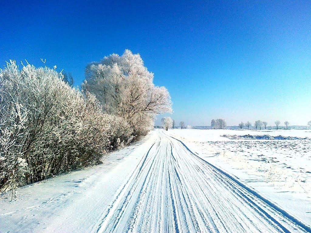 Новоугрузьке з panoramio.com - Novougruzke