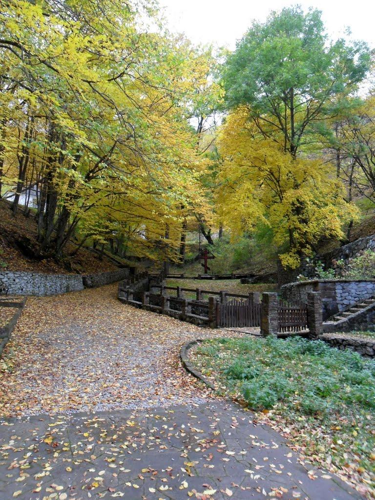 Розовий з panoramio.com (ч.2) - Розовий