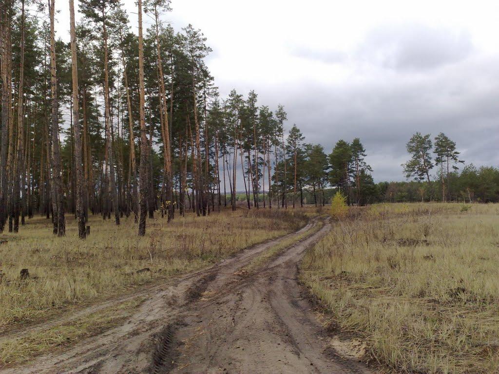 Яцьківка з panoramio.com - Яцьківка
