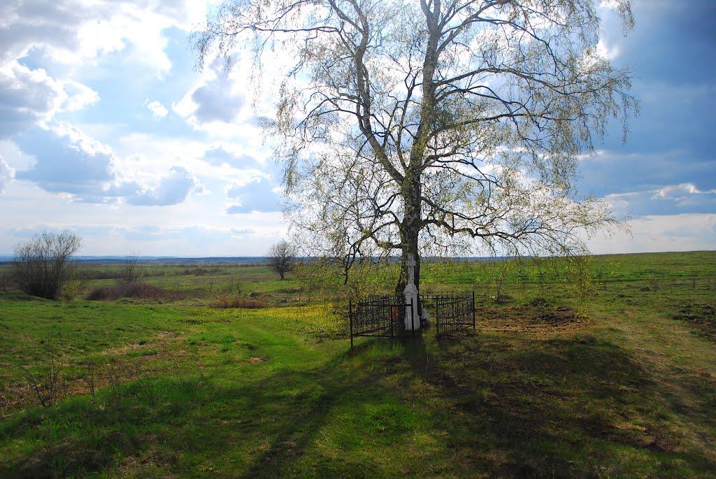 Бунів з panoramio.com - Бунів