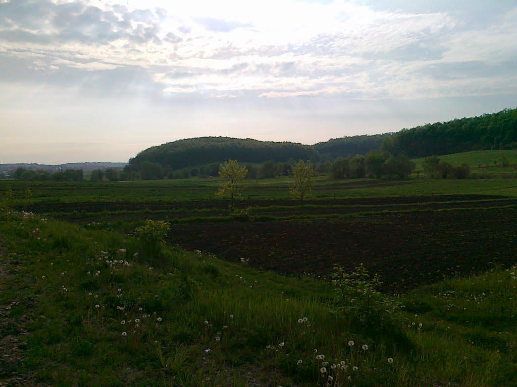 Тисмениця з panoramio.com - Тисмениця