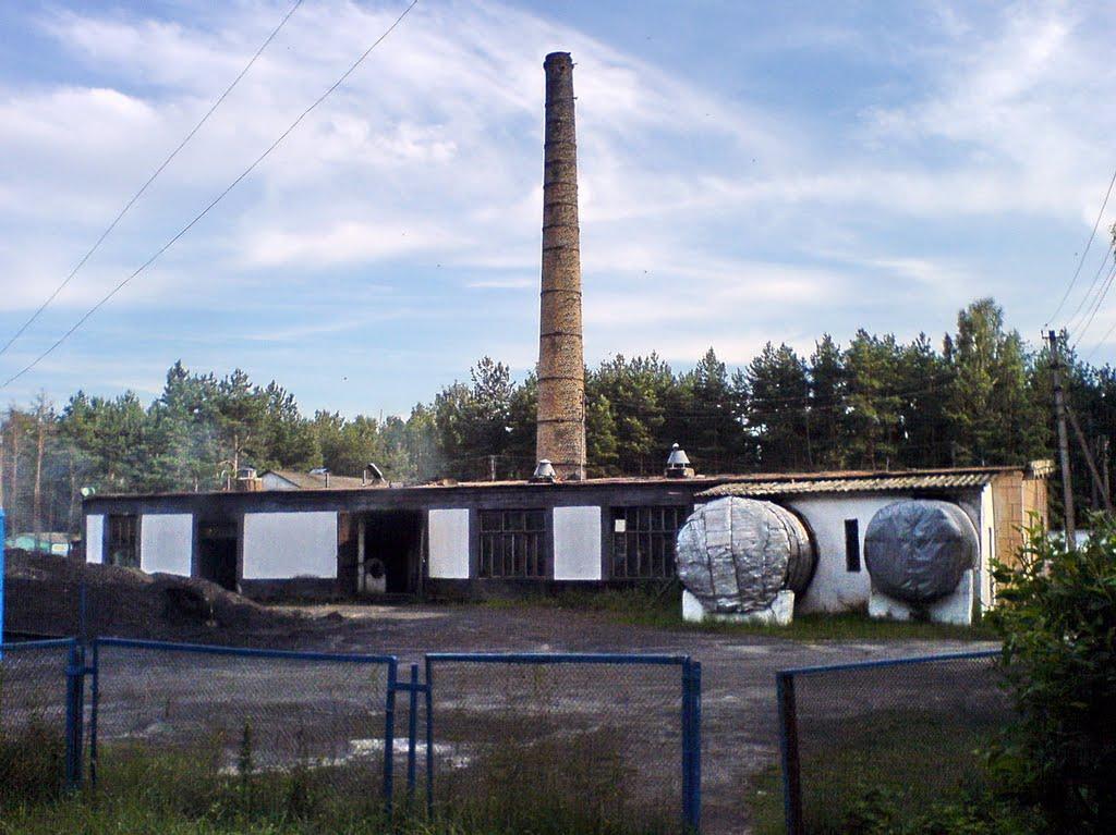 Світязь з panoramio.com - Свитязь