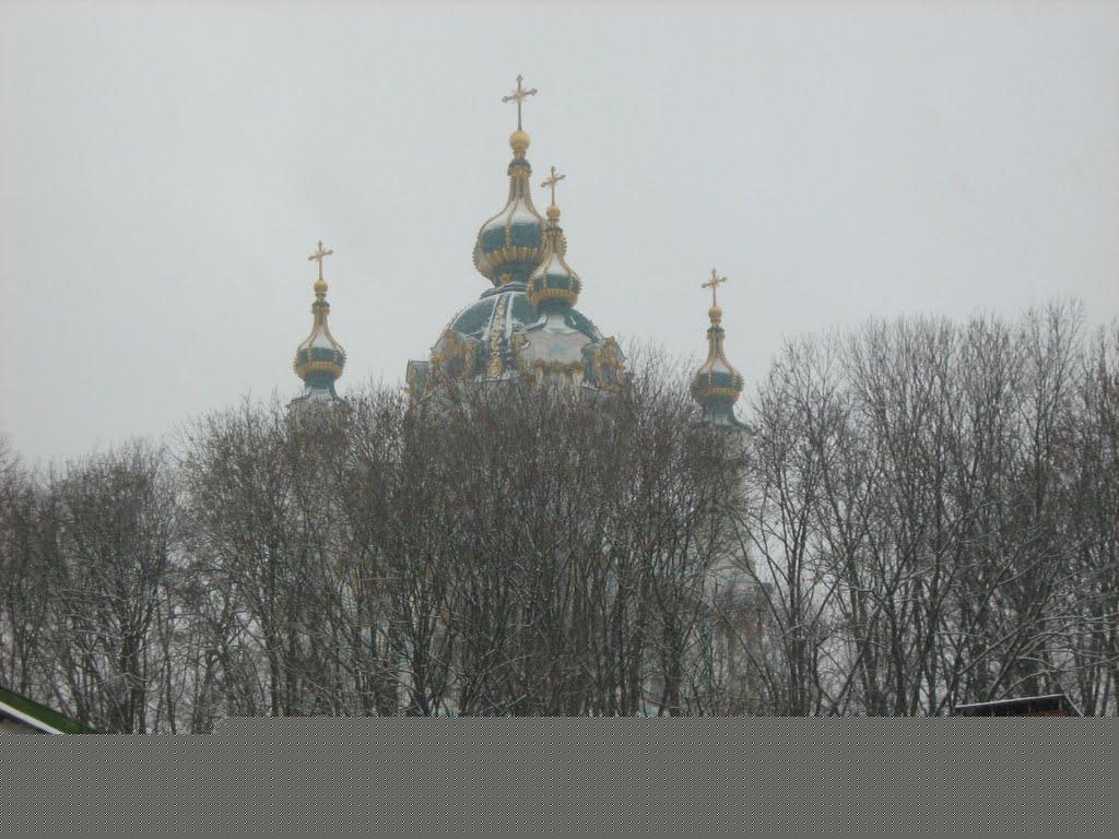 Полуничне з panoramio.com - Полуничне