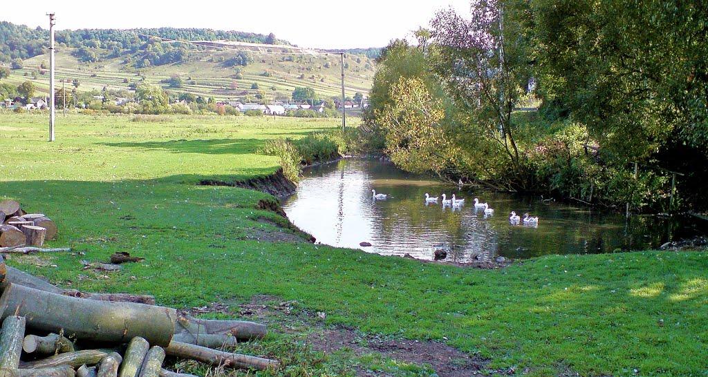 Нараїв з panoramio.com - Нараїв
