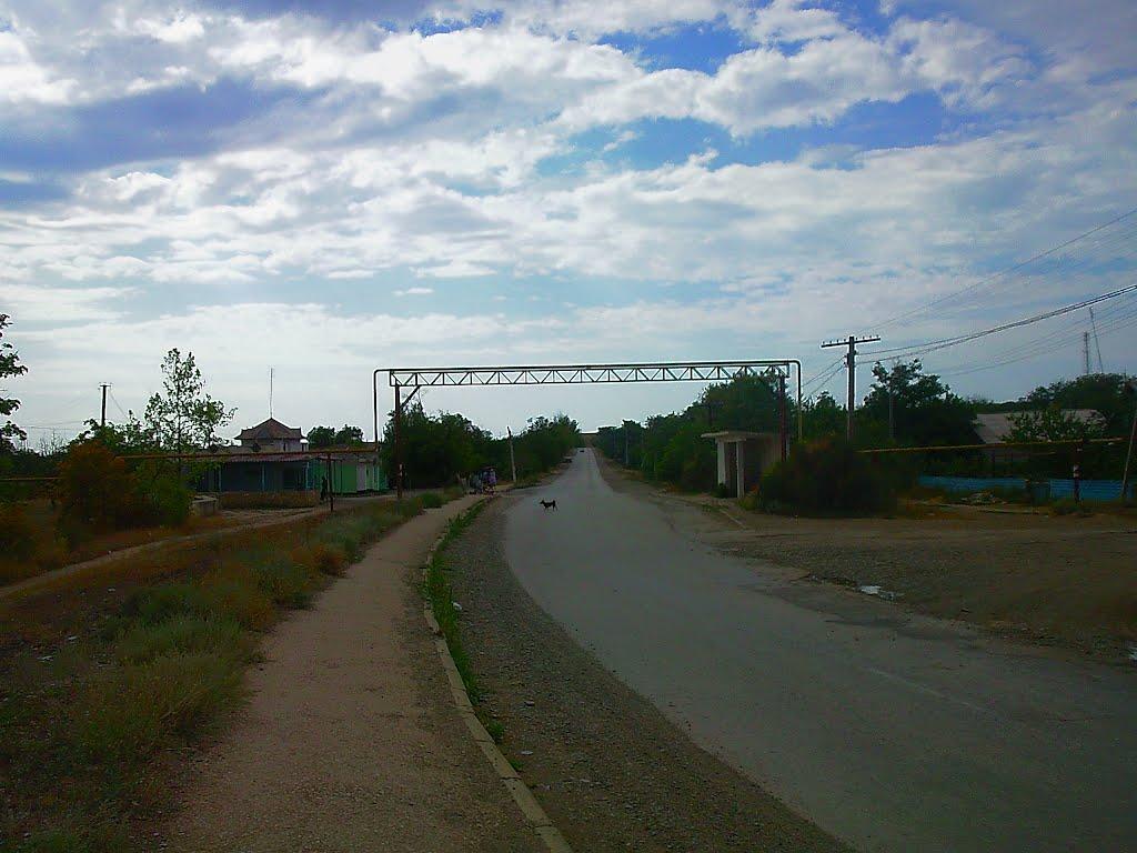 Шевченкове з panoramio.com - Шевченково