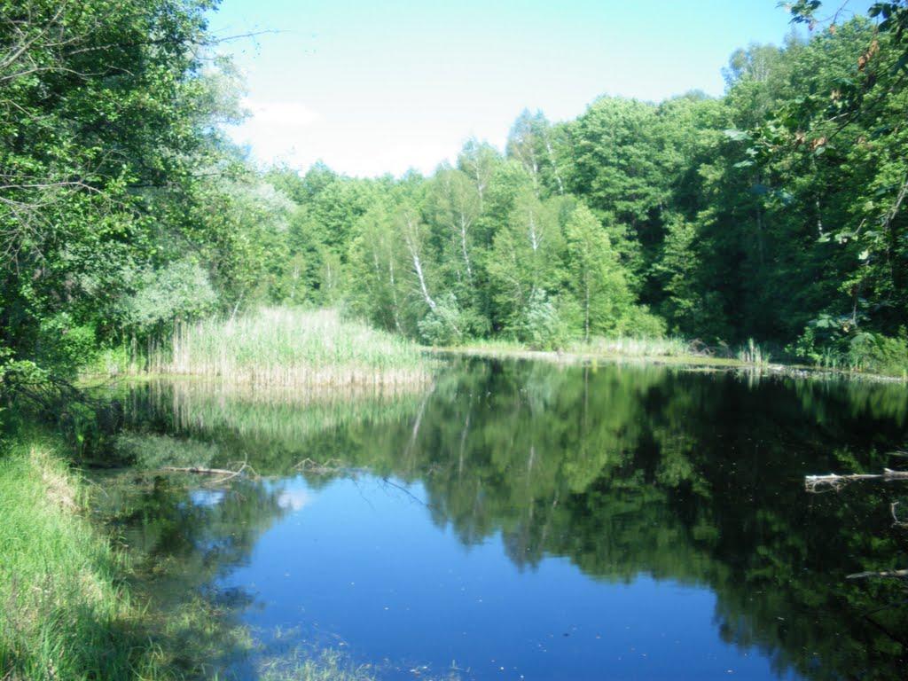 Щурове з panoramio.com - Щурово