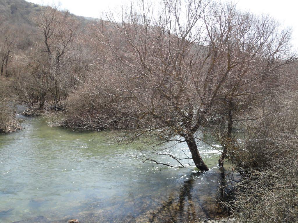 Карасівка з panoramio.com - Карасівка