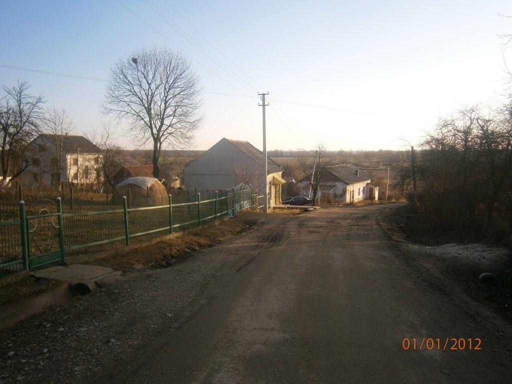 Берездівці з panoramio.com - Berezdivtsi