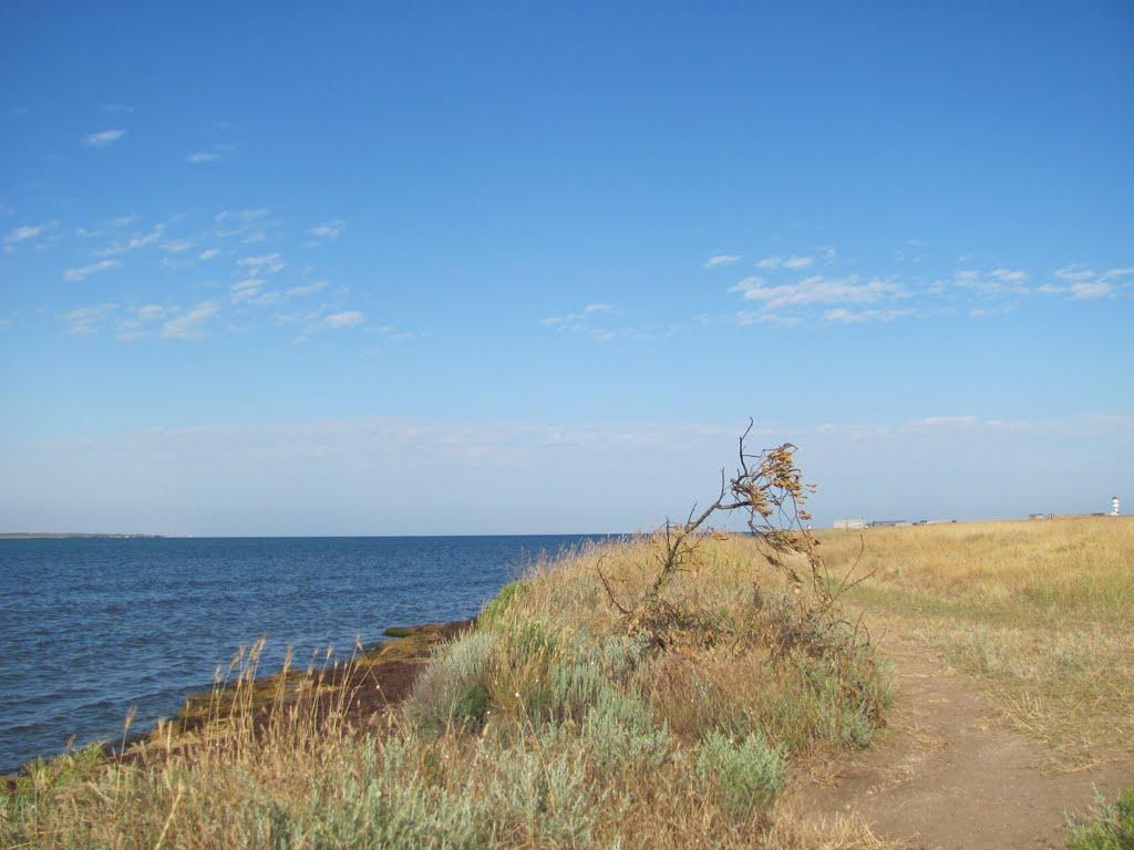 Міжводне з panoramio.com - Межводное
