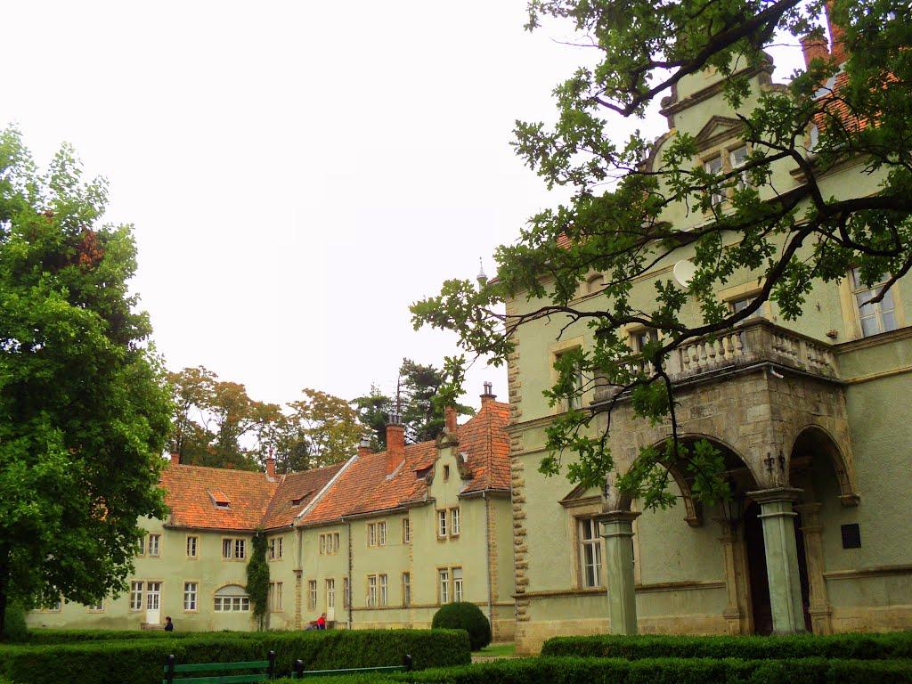 Карпати з panoramio.com - Карпаты