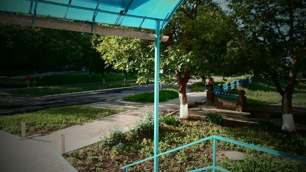 Павлівка з panoramio.com - Павлівка