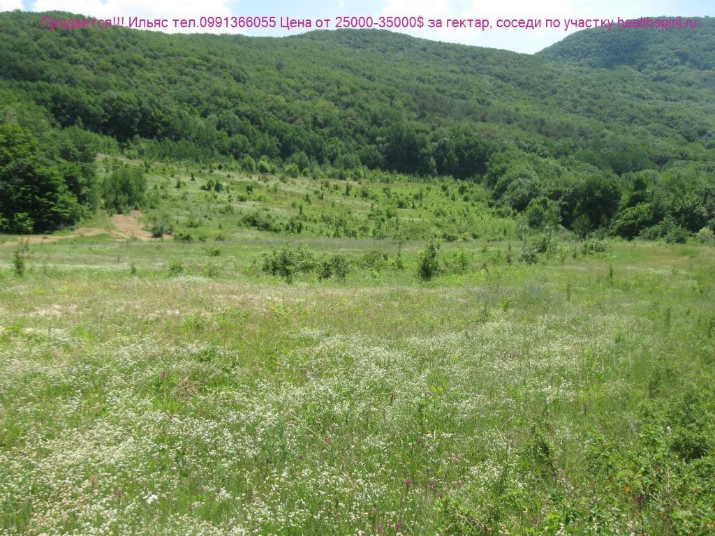 Путилівка з panoramio.com - Путиловка