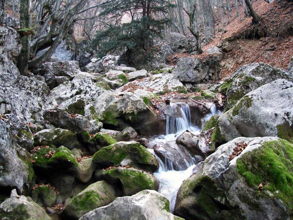 Соколине з panoramio.com (ч.2) - Соколиное