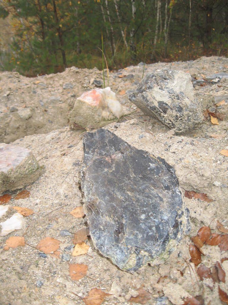 Теренці з panoramio.com - Теренці