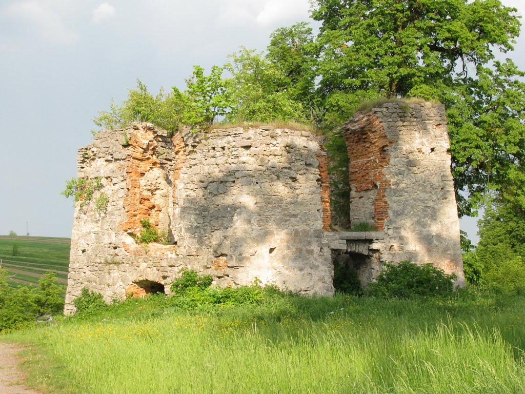 Свірж з panoramio.com - Свирж
