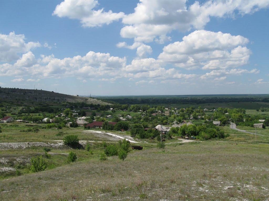 Крива Лука з panoramio.com - Крива Лука