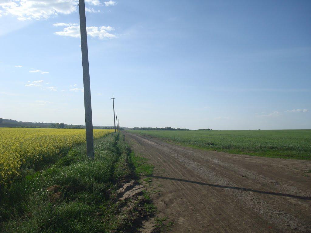 Черепова з panoramio.com - Черепова