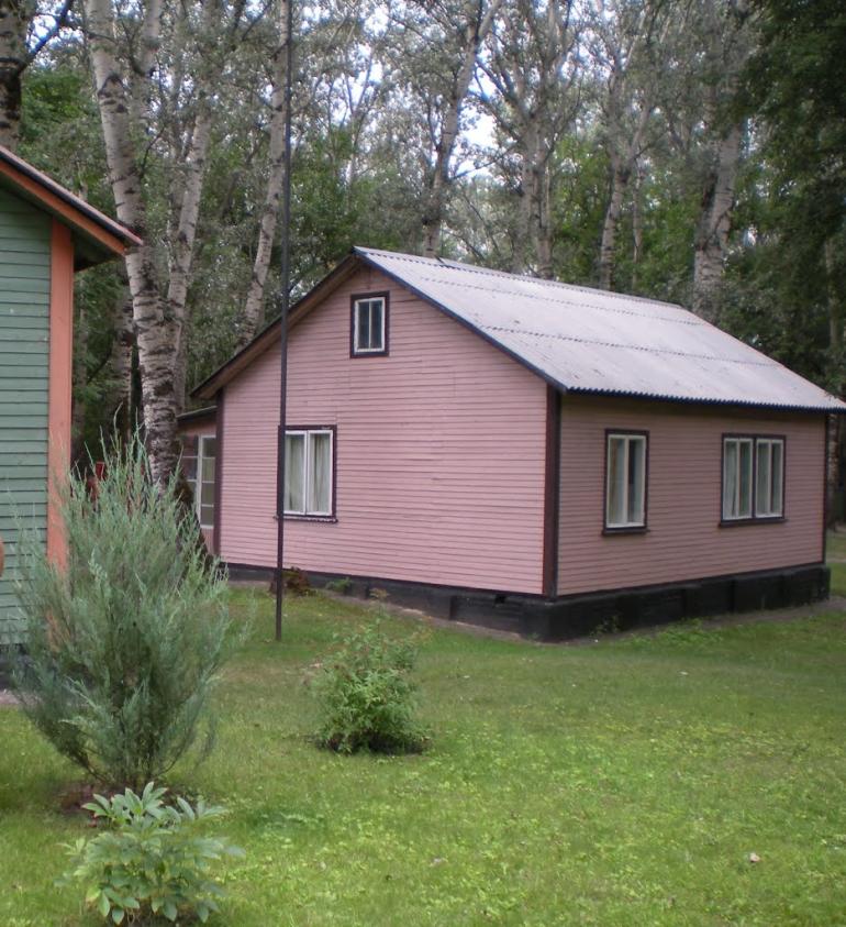 Кияшки з panoramio.com - Кияшки
