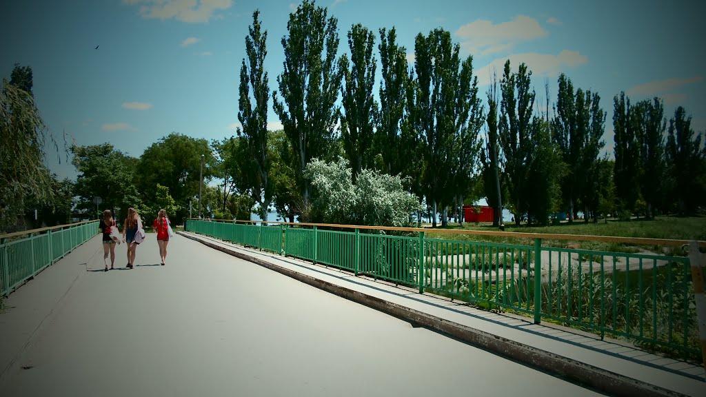 Лиманське з panoramio.com - Лиманское