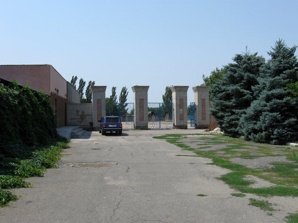 Чаплинка з panoramio.com - Чаплинка