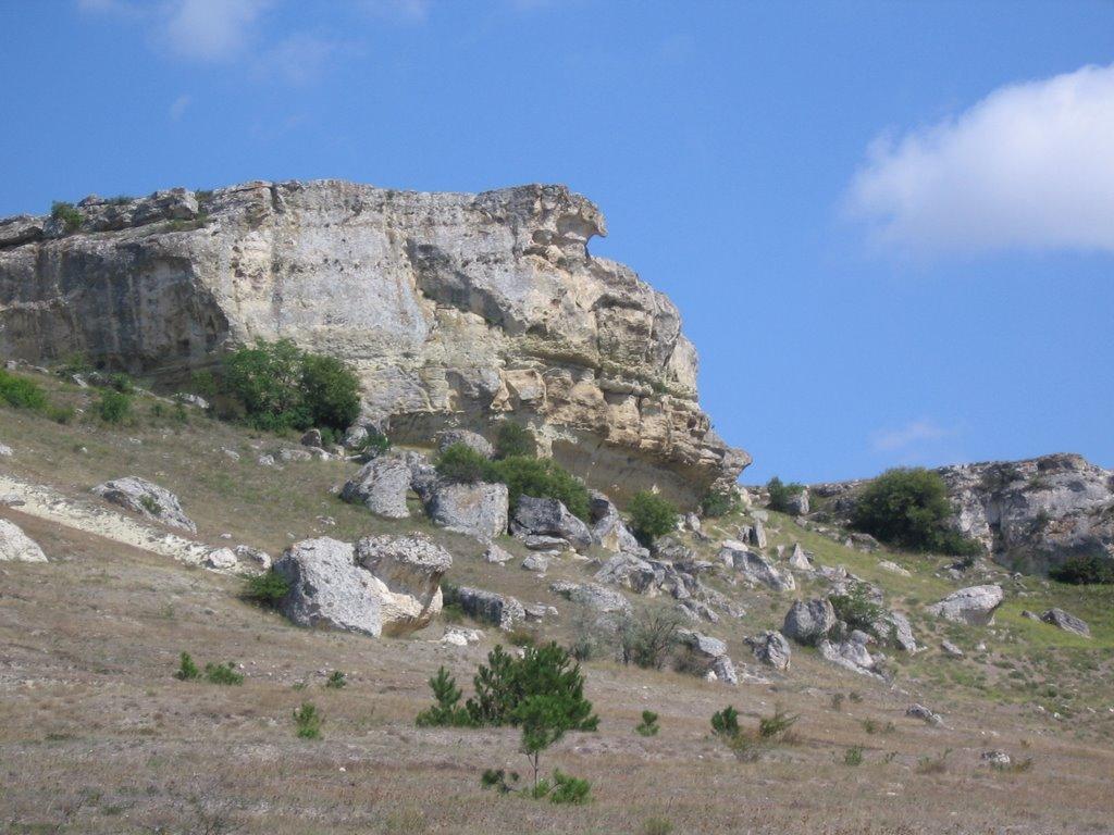 Біла Скеля з panoramio.com - Белая Скала