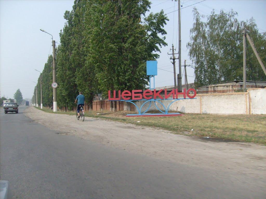 Плетенівка з panoramio.com - Pletenivka
