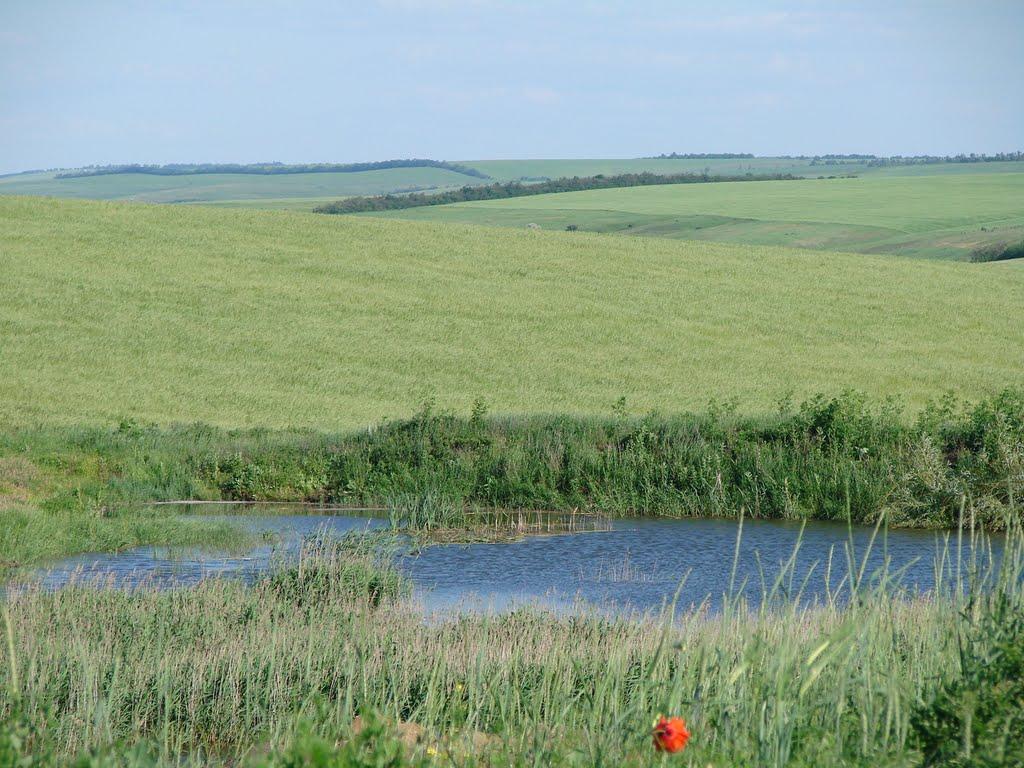 Любашівка з panoramio.com - Любашівка