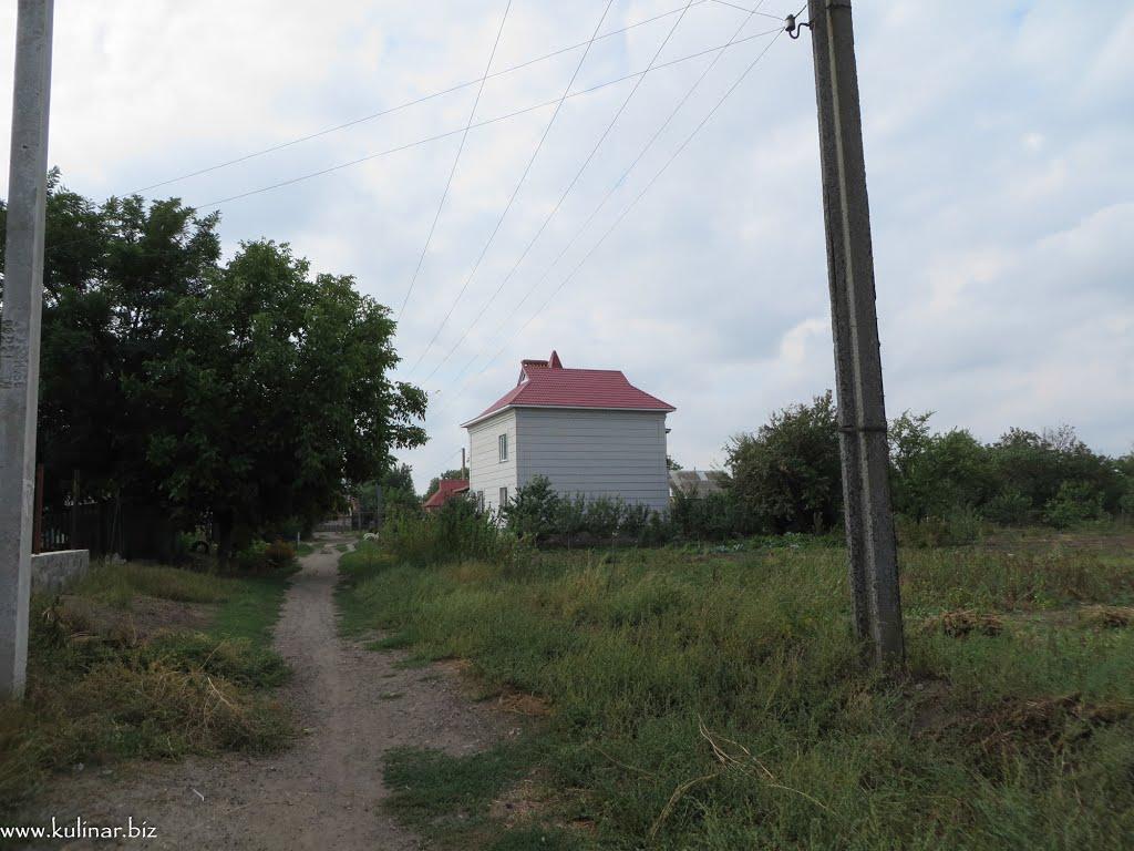 Токмак з panoramio.com - Токмак