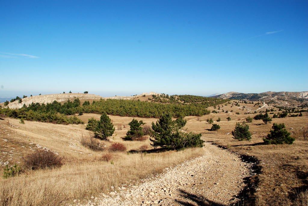 Многоріччя з panoramio.com - Mnogorichchya