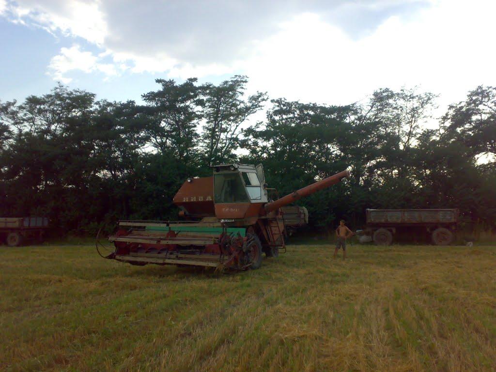 Малі Копані з panoramio.com - Малі Копані