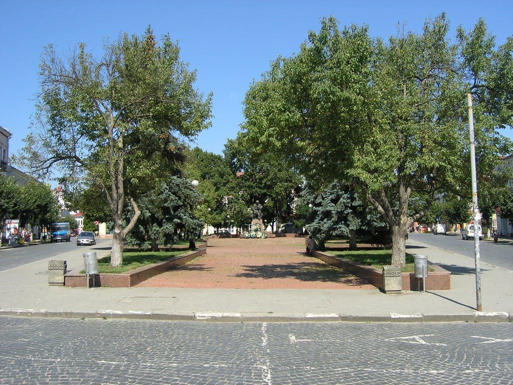 Коломия з panoramio.com - Коломыя