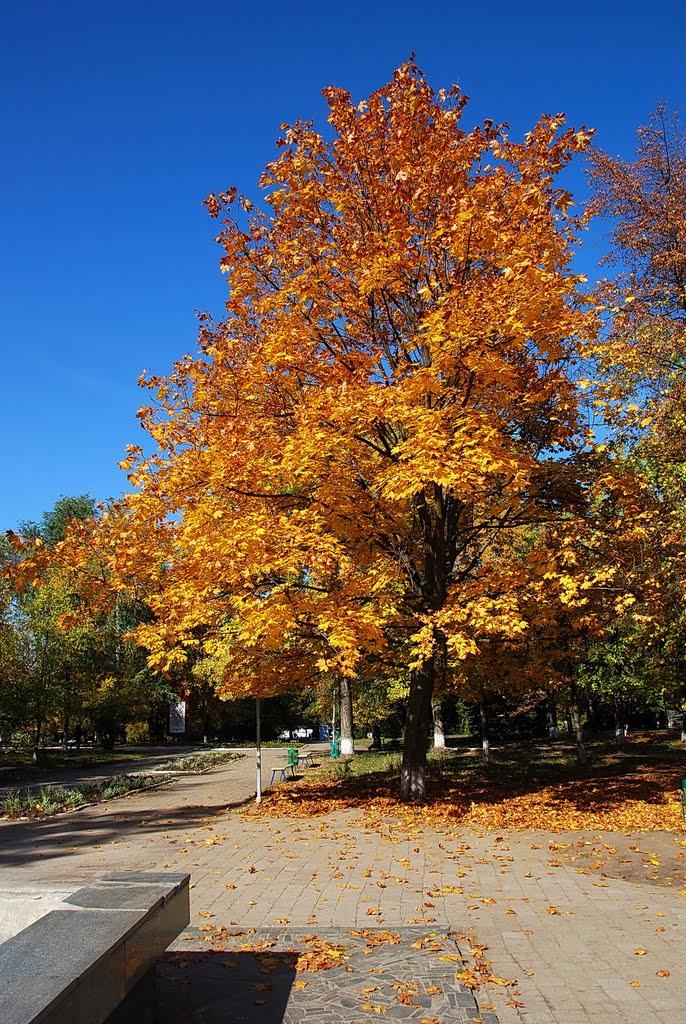 Ізюм з panoramio.com (ч.2) - Ізюм