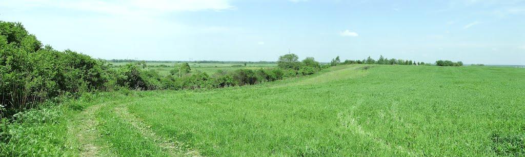 Липиці з panoramio.com - Липиці